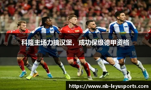 乐鱼体育公司