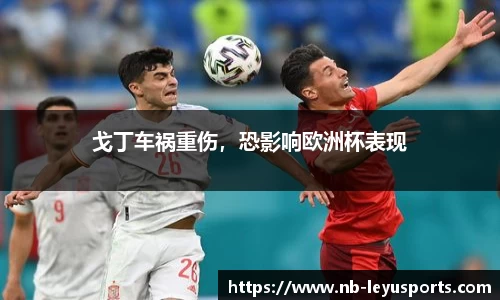 乐鱼体育公司