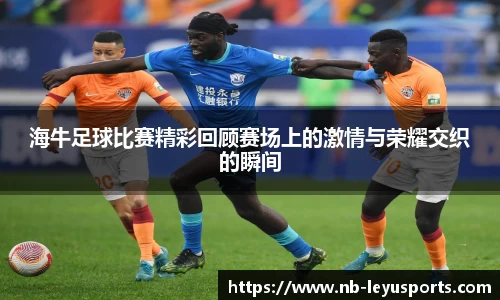 乐鱼体育公司