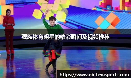乐鱼体育公司