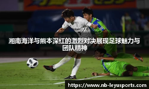乐鱼体育公司