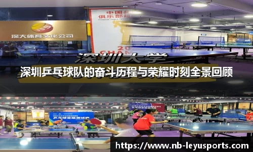 乐鱼体育公司